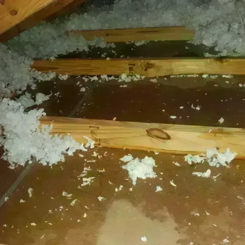 Attic Water Damage in Nicholson, GA