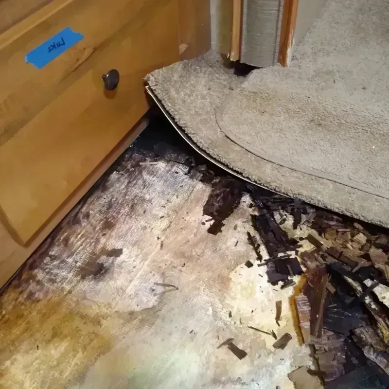 Wood Floor Water Damage in Nicholson, GA